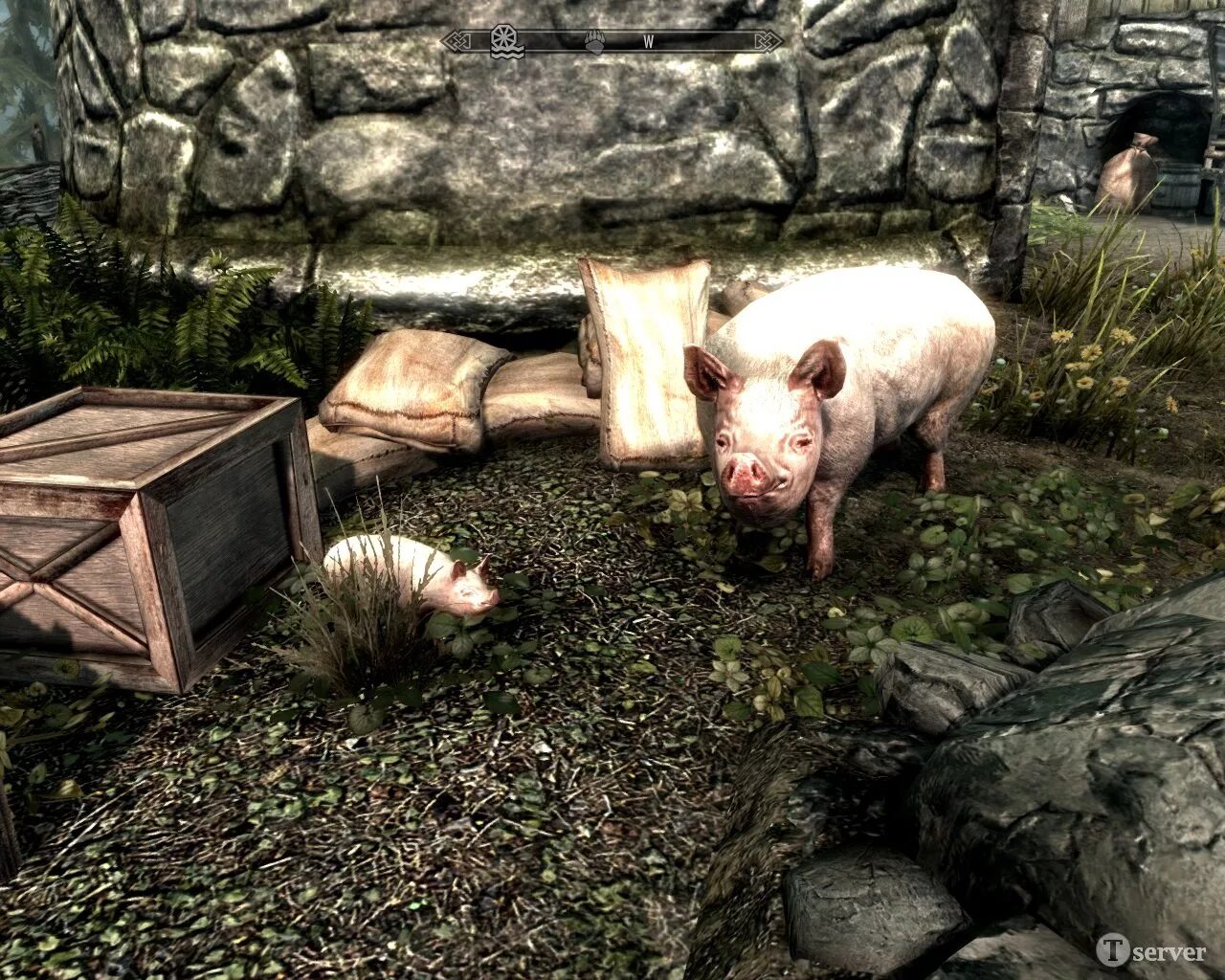 Animals skyrim