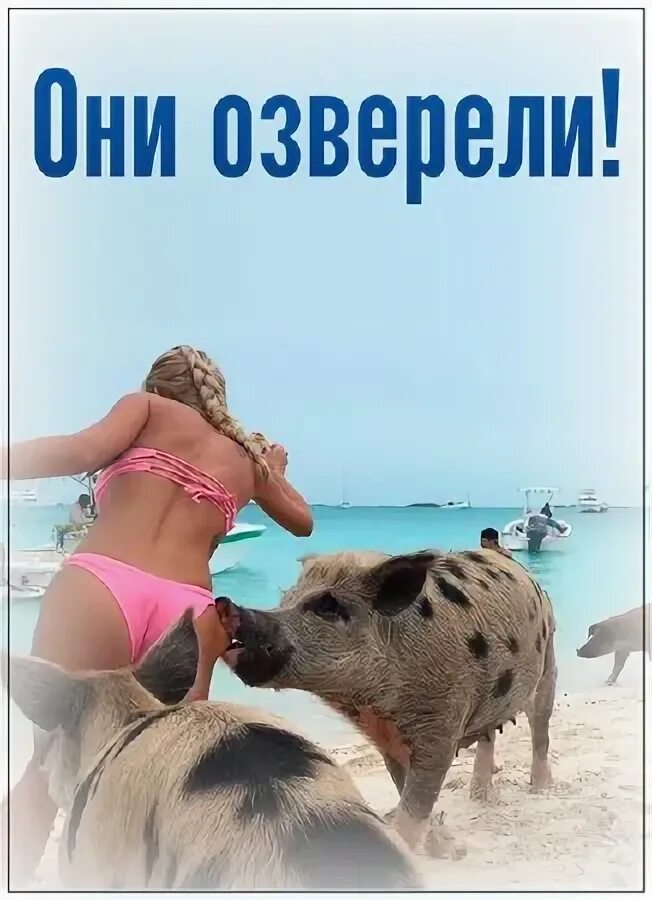 Опасаться зверя