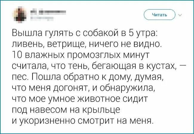 Читать выходи. Неловкие короткие истории. рассказ про неловкую ситуацию. смешные неловкие истории из жизни. смешные моменты читать.