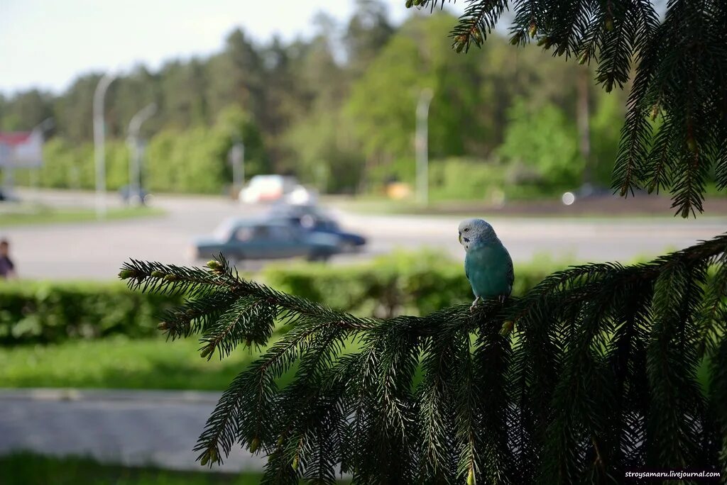 население г заречный пензенской области. 2020 заречный пензенская область зима. заречный пензенская область погода январь. пенза 19 закрытый город.