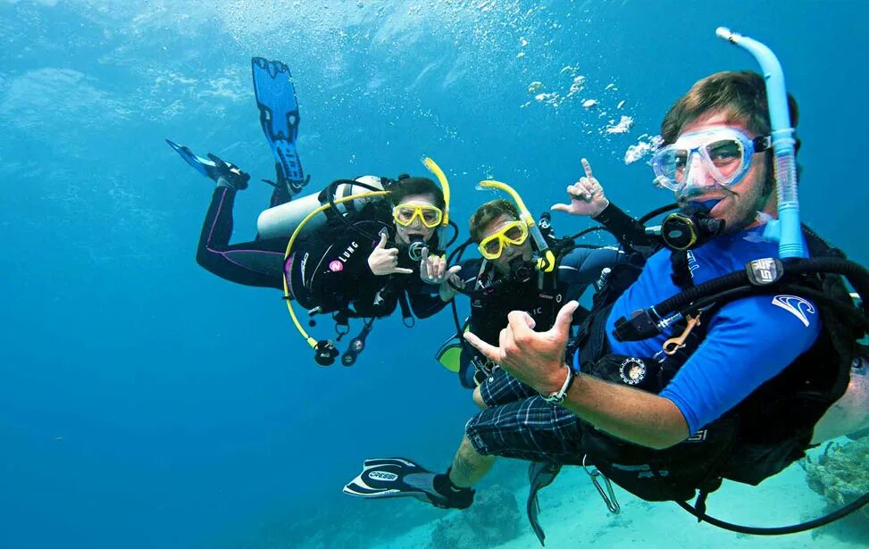 Лов дайв. Master Scuba Diver Padi. Дип дайв Дубай. Padi discover Scuba Diving. Дайвинг для детей.