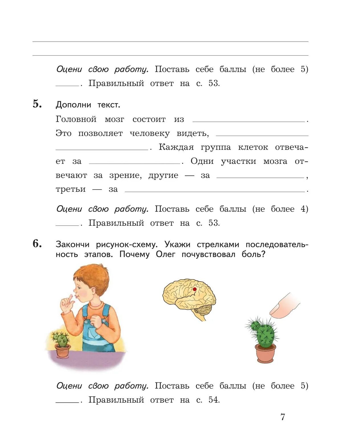 Проверочные окружающий виноградова 3 класс. Окружающий мир 2 класс тетрадь для проверочных работ Виноградова. Окружающий мир 4 класс тетрадь для проверочных работ Виноградова. Окружающий мир 1 класс Виноградова тетрадь для проверочных работ. Окружающий мир 3 класс тетрадь для проверочных работ Виноградова.