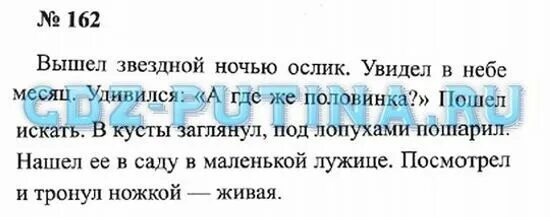 Вышел звездной ночью гулять ослик