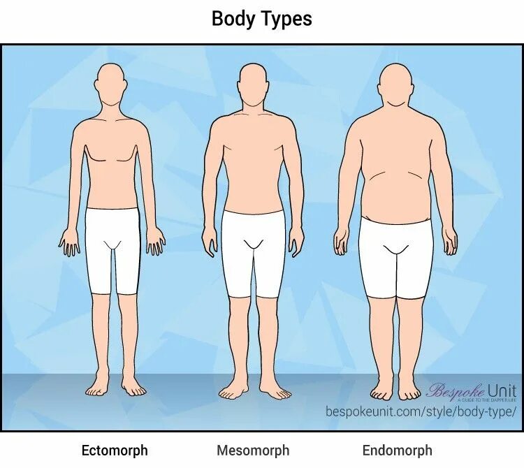 This type of body