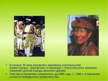Об истории освоения бразилии