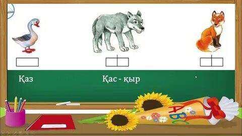 Ерлердің жыныс мүшесі бар әйелдер