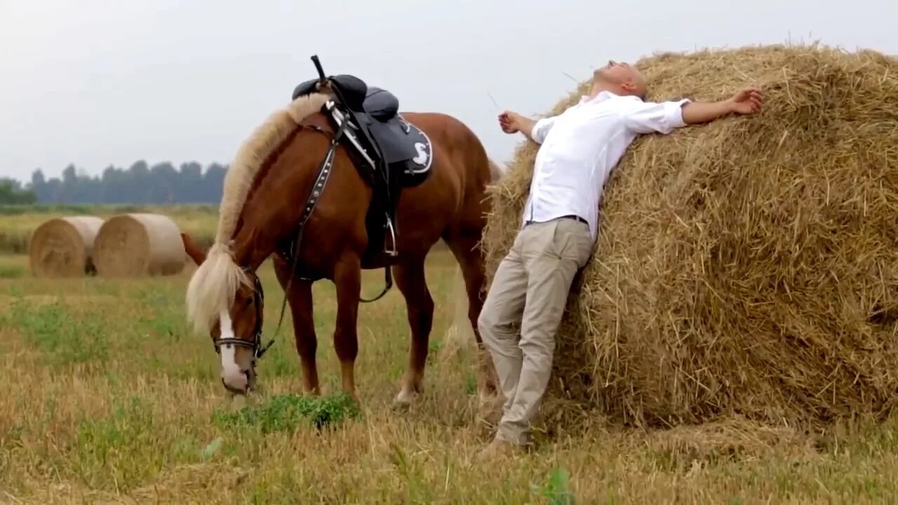 Музыка horses. Клипы с лошадьми. Три мужика на конях. Лошадь музыкальная.