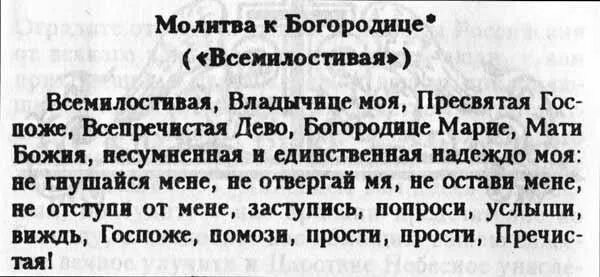 Всемилостивая молитва божьей матери. Молитва пресвятой богородице старца сампсона. Молитва сампсону сиверсу. Молитва сампсону сиверсу. Старец сампсон сиверс книги.