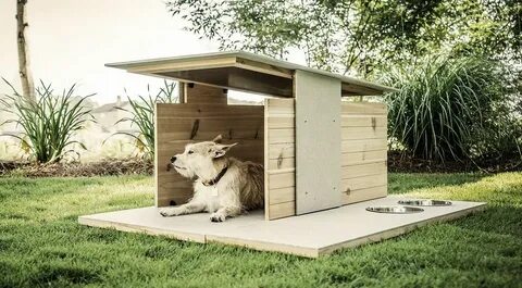 Dog house multifold demo