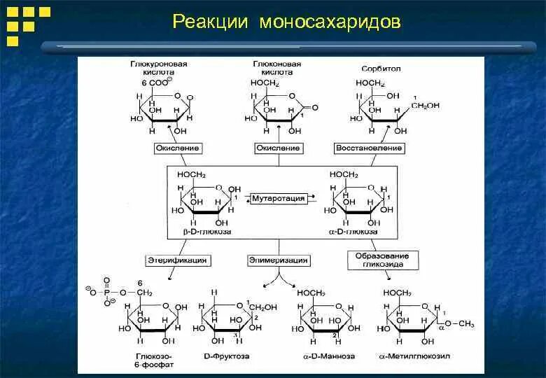 10 Кл химия углеводы моносахариды. Номенклатура моносахаридов и их строение. Углеводы моносахариды номенклатура. Изомерия структура моносахаридов. Фруктоза органическое вещество