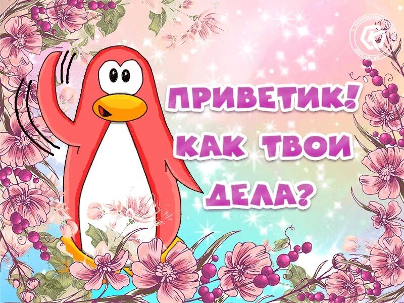 Типа привет как дела. Привет как дела. привет как дела картинки. открытки привет. привет открытки красивые.