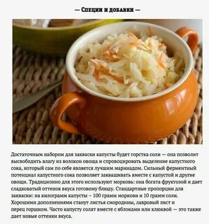 Лучшие дни в ноябре для закваски капусты