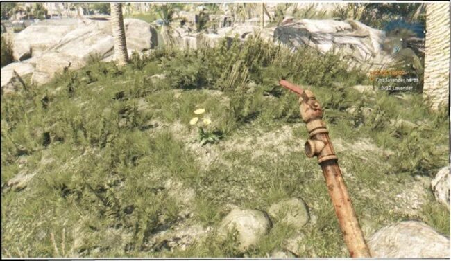 Куст лаванды саженец. Плато валенсоль. Dying light 1 лаванда. Лаванда нормандия. Лавандовые поля в подмосковье.