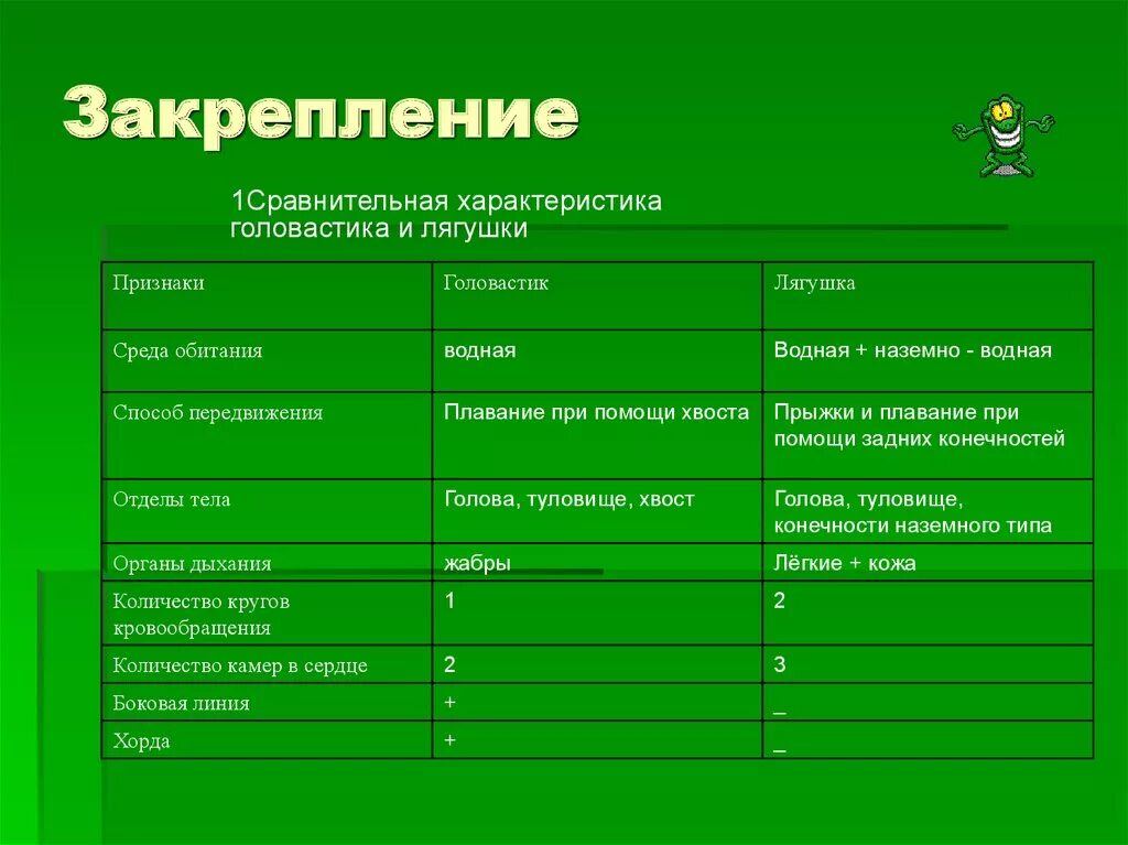 Таблица головастика и лягушки 7 класс биология. Признаки лягушки и головастика таблица. Отделы тела земноводных 7 класс биология таблица. Характеристика головастика лягушки.