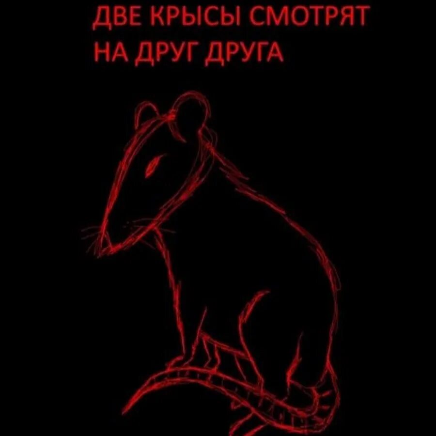 Что означает ты крыса. Заставки на телефон ля ты крыса. я ты крыса. обои с надписью ля ты крыса. ля ты крыса надпись.