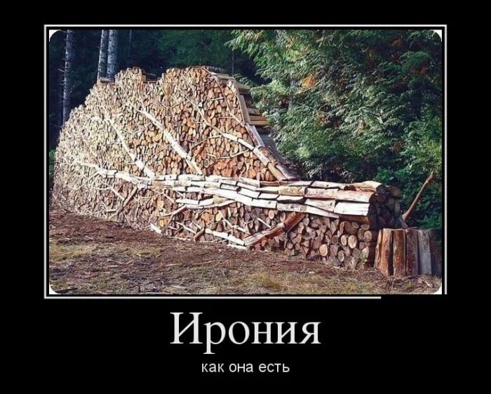 Наломать дров. Дрова приколы. дрова юмор. дрова демотиваторы.