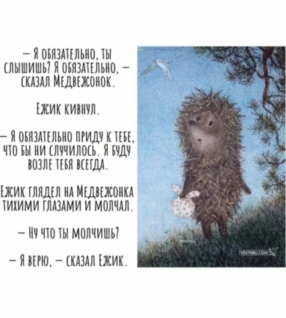 Смысл мультфильма ежик. T;br d nwvfyt. медвежонок из ежика в тумане. ежик в тумане цитаты. фразы из ежика в тумане.