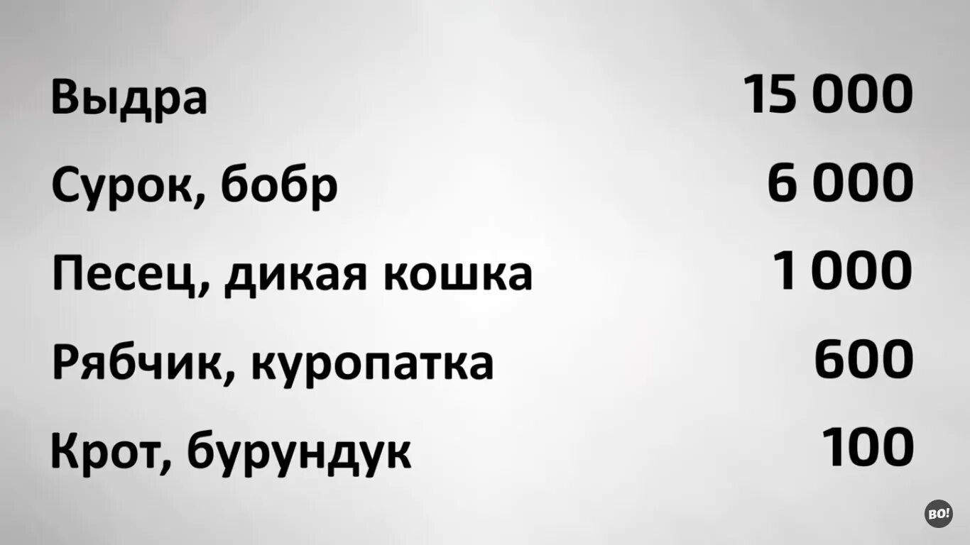 Штраф за лося. Сколько штраф за лося. Если сбил лося сколько штраф. Сколько штраф за сбитого