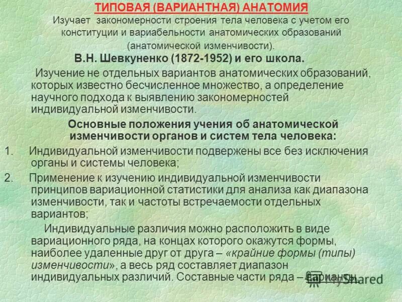 Изучает закономерности внешнего строения. Изучает закономерности внешнего строения. Ботаника это наука. Наука о растениях. Изучает закономерности внешнего строения.