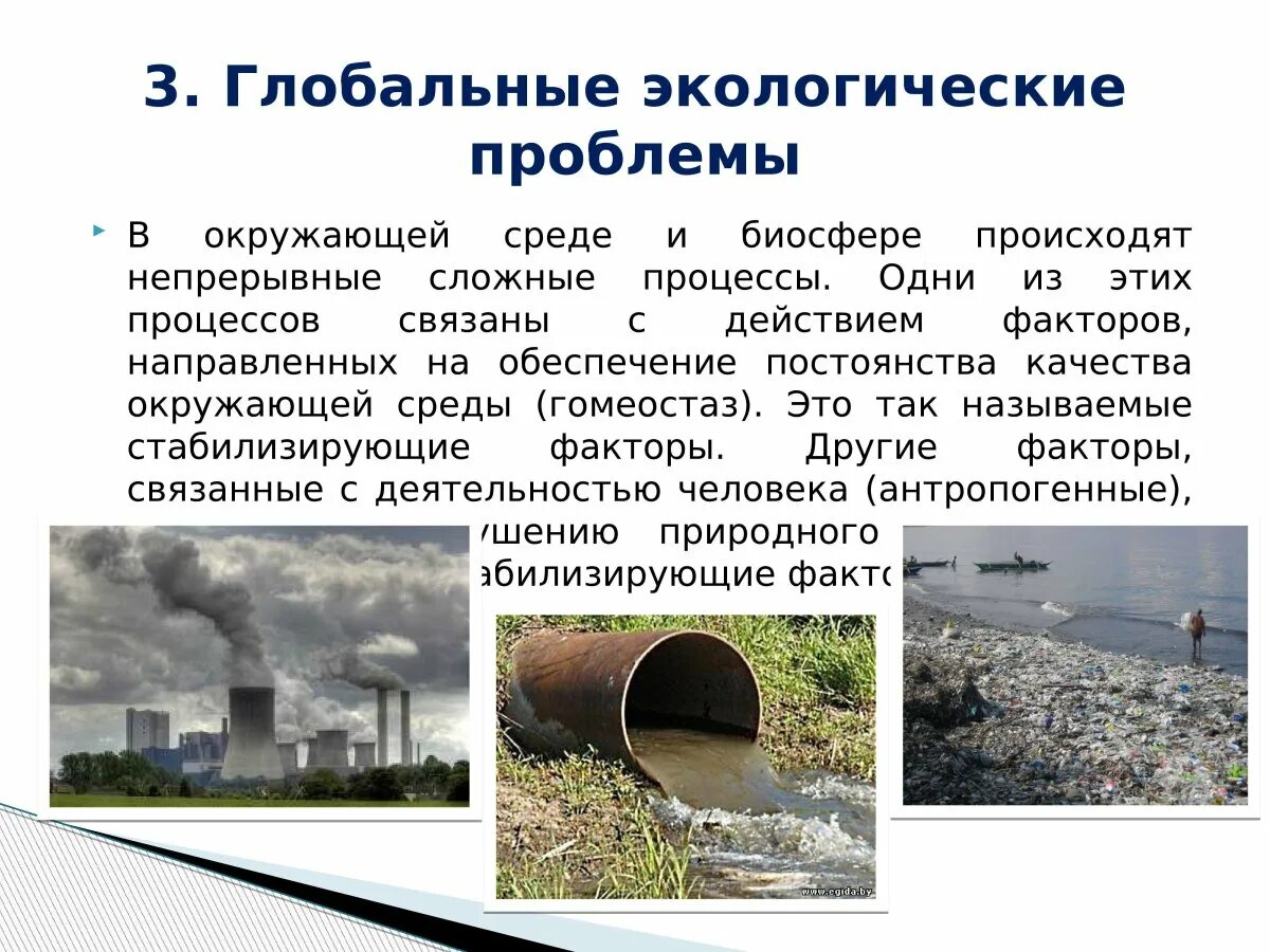 Сообщение про окружающую среду
