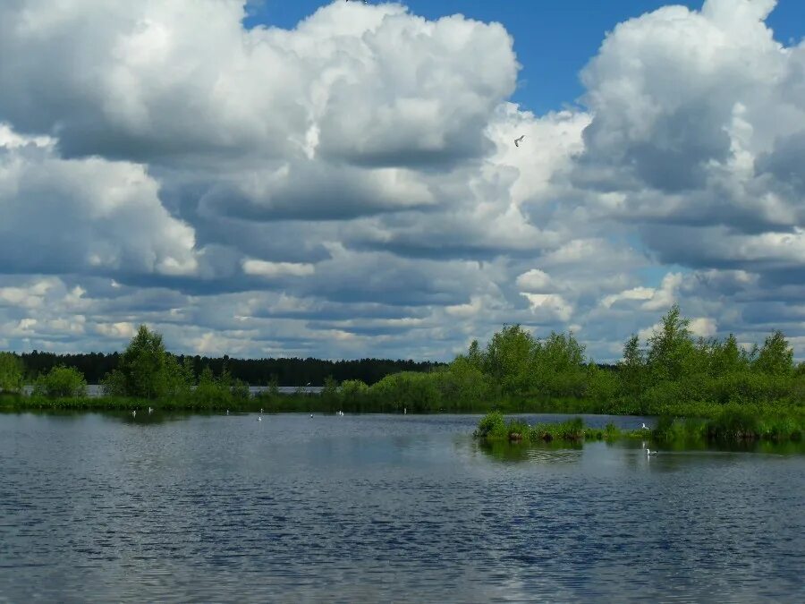 Хозяева озера. Финляндия в древности. В. Хозяин озера. Муромцево карачи озеро.