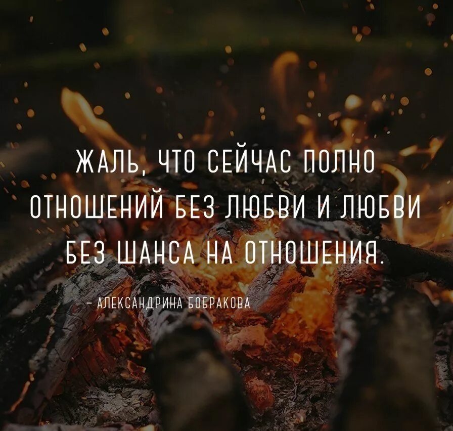 Жаль цитаты. Человека исправит боль и могила. Человека исправит боль и могила. Мур мур любимый. Человека исправит боль.