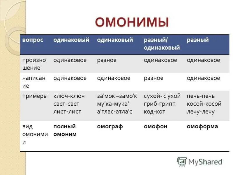 4 омонима слове. Омонимы. Омонимы примеры. Омонимия примеры. Примеры омонимов в русском языке.