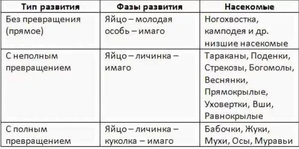 Типы развития животных биология 8 класс. Типы развития насекомых таблица. С полным и неполным превращением таблица. Полное превращение и неполное превращение таблица. Развитие животных с превращением и без превращения 7 класс таблица.