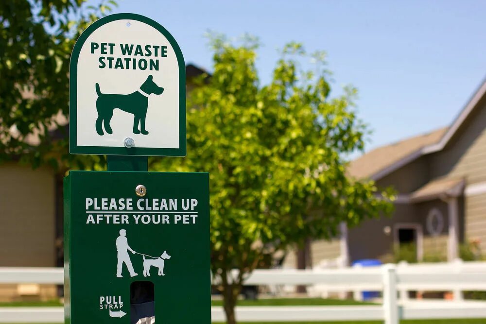 After your pet. Станция для собак. Waste Station. Только для собачьих отходов фото и картинки. High waste собака.