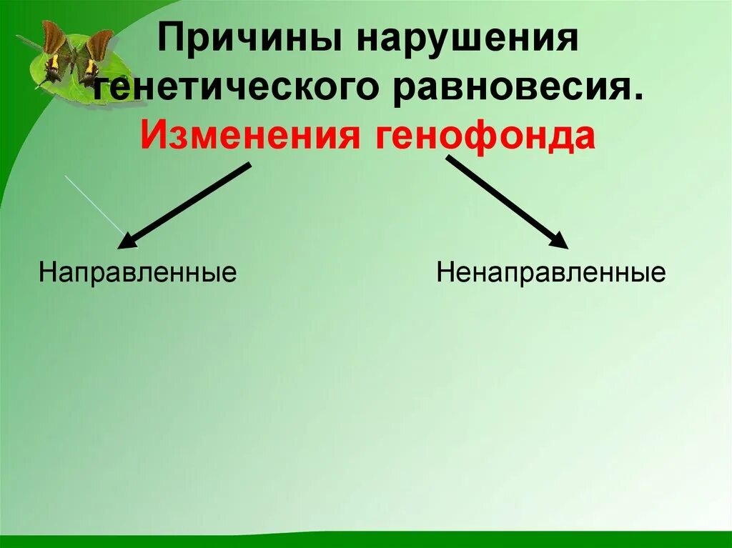 К образованию новых видов приводит изменение генофонда. Причины нарушения генетического равновесия. Нарушения генетического равновесия в популяциях. Направленные и ненаправленные изменения. Причины нарушения генетического равновесия популяции.