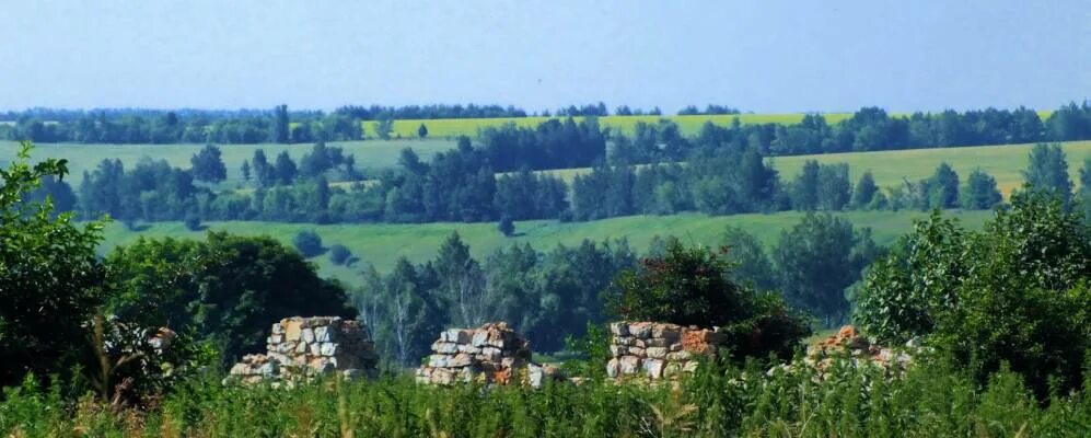 Деревня Маслово Тульская область Куркинский район. Тульская область дер Подосинки. Тульская область Куркинский район деревня Ивановка. Село Михайловское Тульская область.