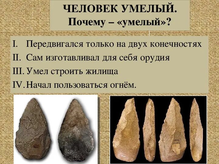 Орудия которые изготавливал человек умелый. Человек умелый. Орудия которые изготавливал человек умелый. Орудия которые изготавливал человек умелый. Homo habilis древнейшие каменные орудия.