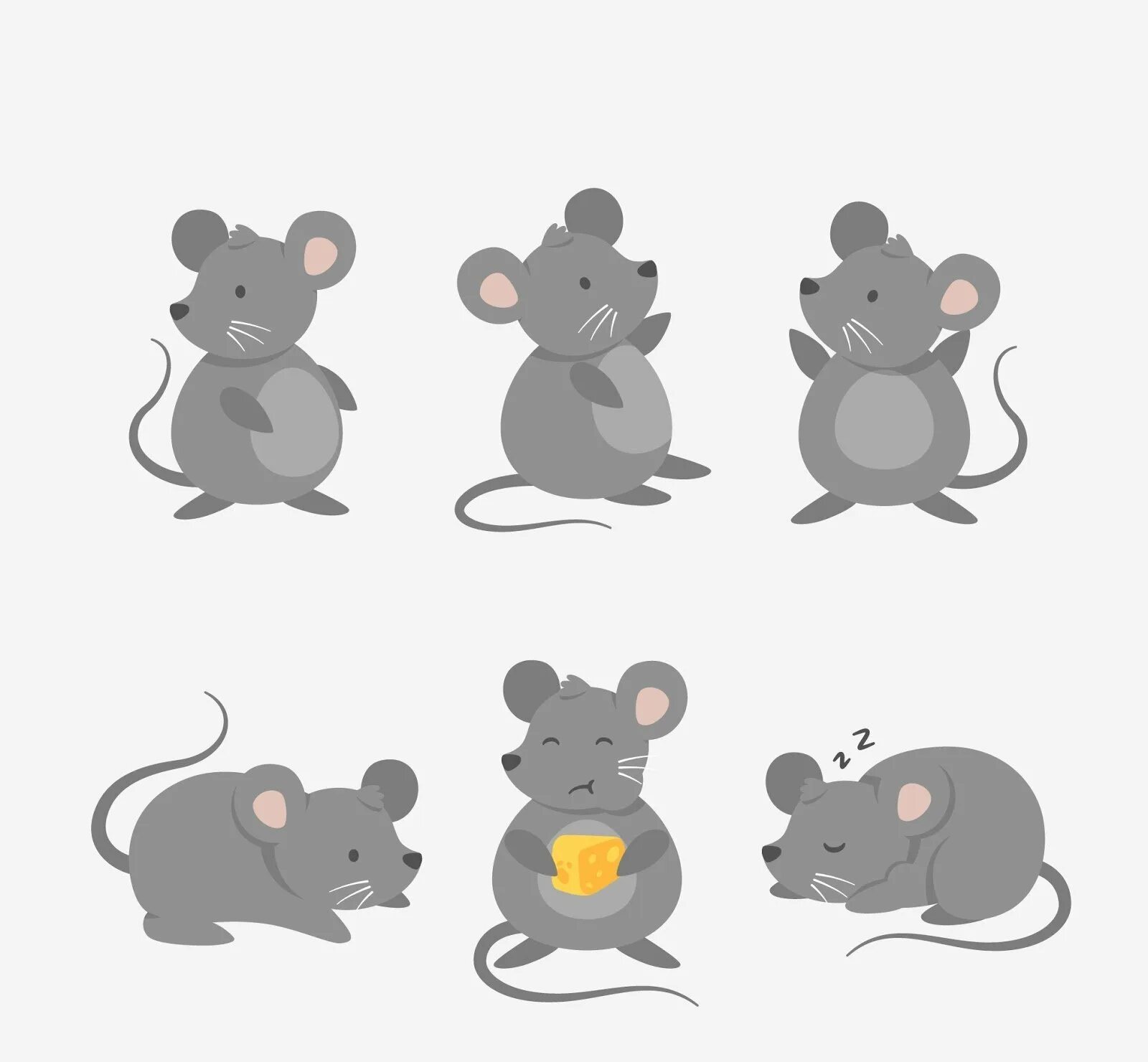 Шесть мышей. Мышь картинка для детей. Мышонок картинка для детей. Мышка стилизованная. Крыса рисунок.