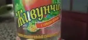 Живунчик