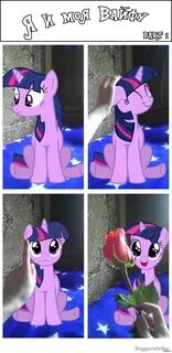 Poni waifu sim