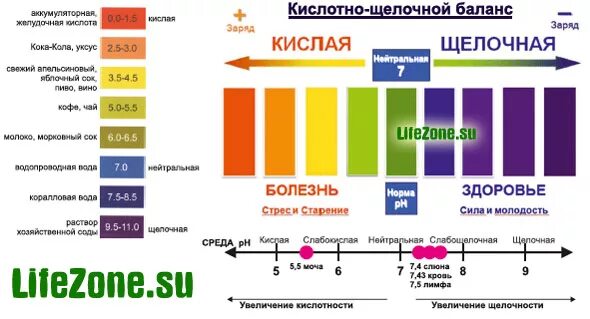 Водно кислотный баланс