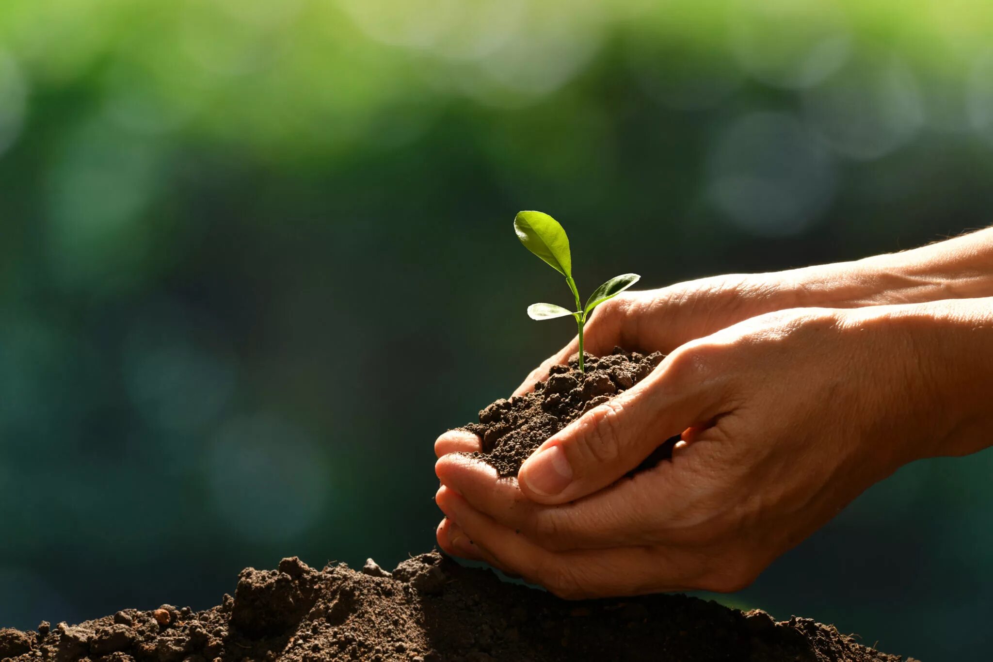 Laws of growth