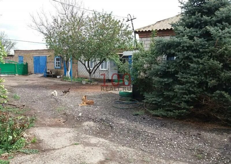 Погода в дивном ставропольского края на 10