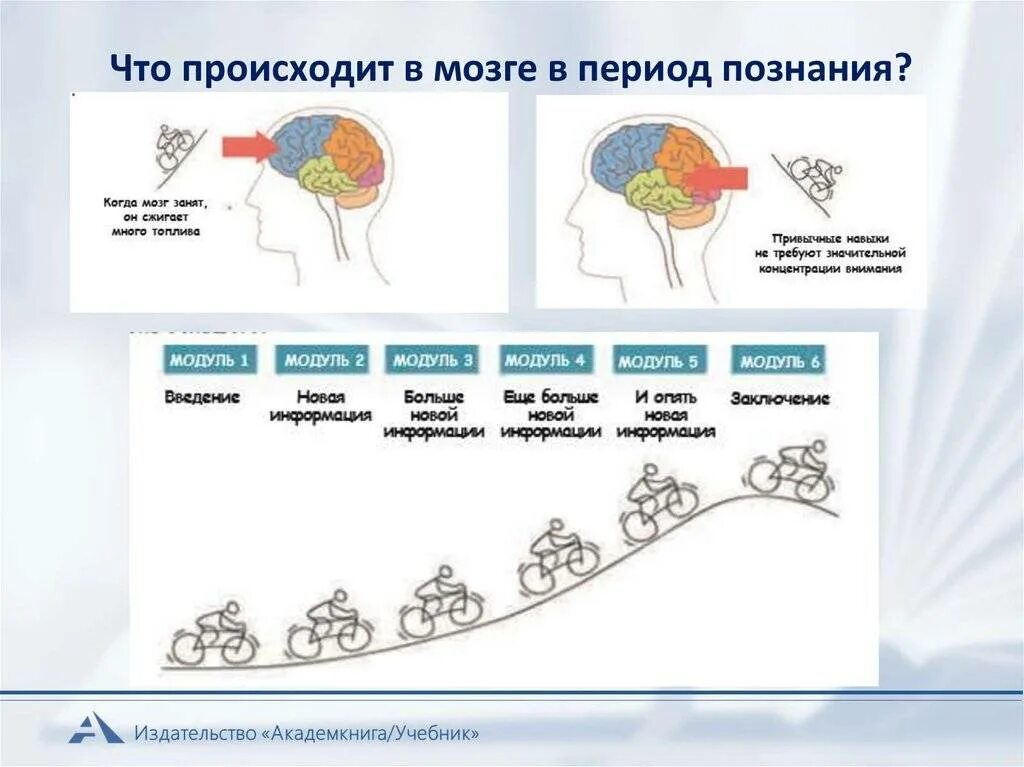 Время активного мозга. Работоспособность мозга человека в процентах. Что происходит в мозге когда человек учится. Когда мозг наиболее активен. Работоспособность мозга по часам.