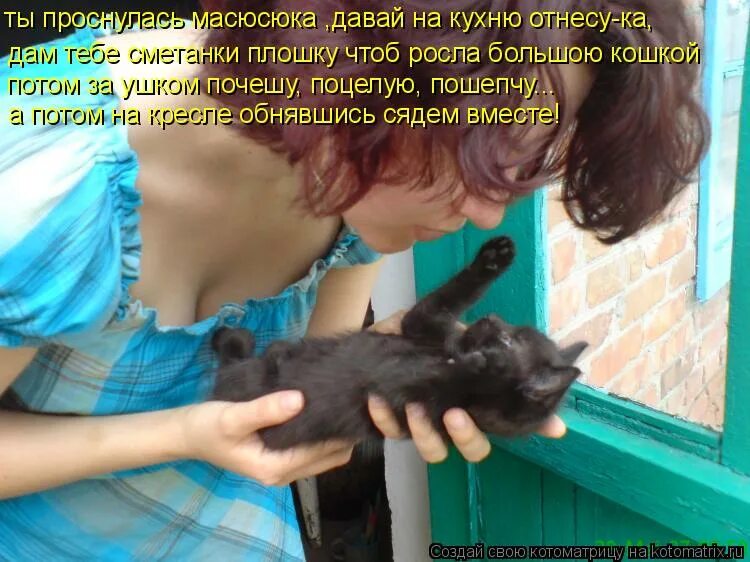 кошка играет с мышкой. ты где была я гуляла. кошки-мышки. за мышой. кошка охотится на мышь.