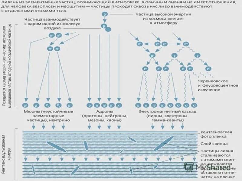 взаимопревращаемость элементарных частиц. классифифкаци яэлементарных частиц. неустойчивая элементарная частица. элементарные частицы их масса и заряд. элементатныечастицы это.