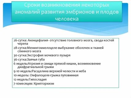 Критические периоды зародыша