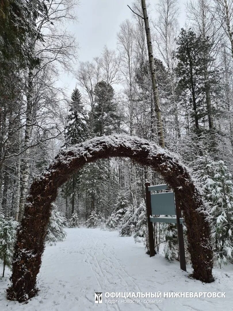 Ягом экологическая тропа. Ягом экологическая тропа. Ягом нижневартовск лесной комплекс. Комплекс ягом. Ягом нижневартовск лесной комплекс.