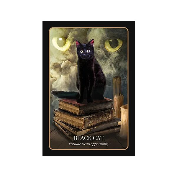 Таро кэт блэк. Фэнтези кошки. Таро black cats. Мистические кошки. Черный кот оракул.
