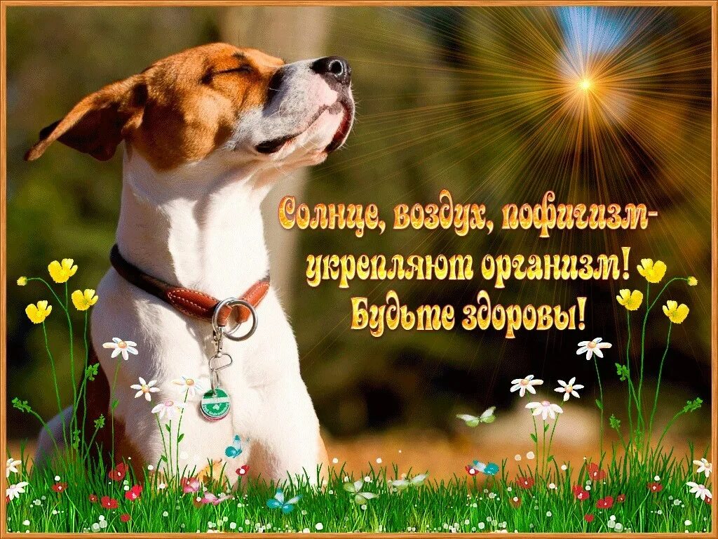 Добрые пожелания бывшей. Добрые пожелания. красивые открытки с пожеланиями. отличного дня и здоровья открытки. позитивные пожелания.