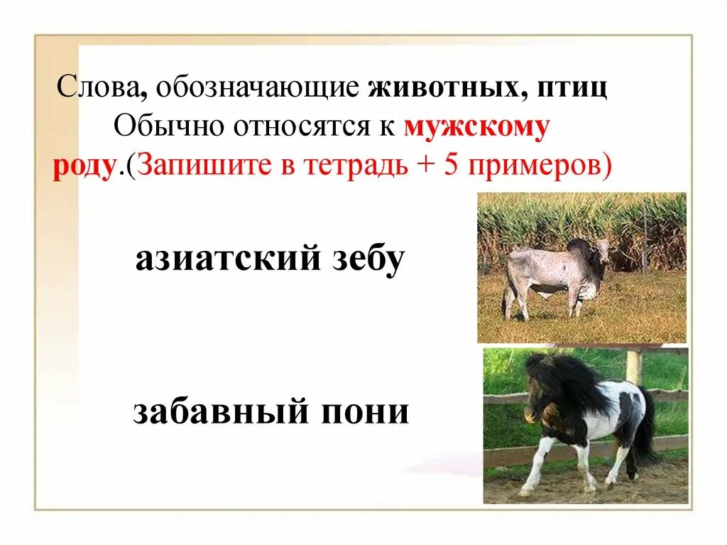 Какое слово означает животное. Несклоняемые существительные обозначающие животных. Несклоняемые существительные обозначающие названия животных. Несклоняемые существительные обозначающие животных и птиц. Слова обозначающие животных и птиц.