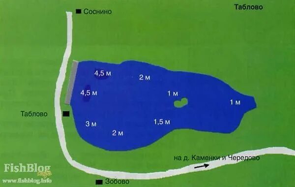 Озеро Тростенское рыбалка платная. Карта глубин Тростенского озера. Места стоянки карася в прудах. Карась на карте.