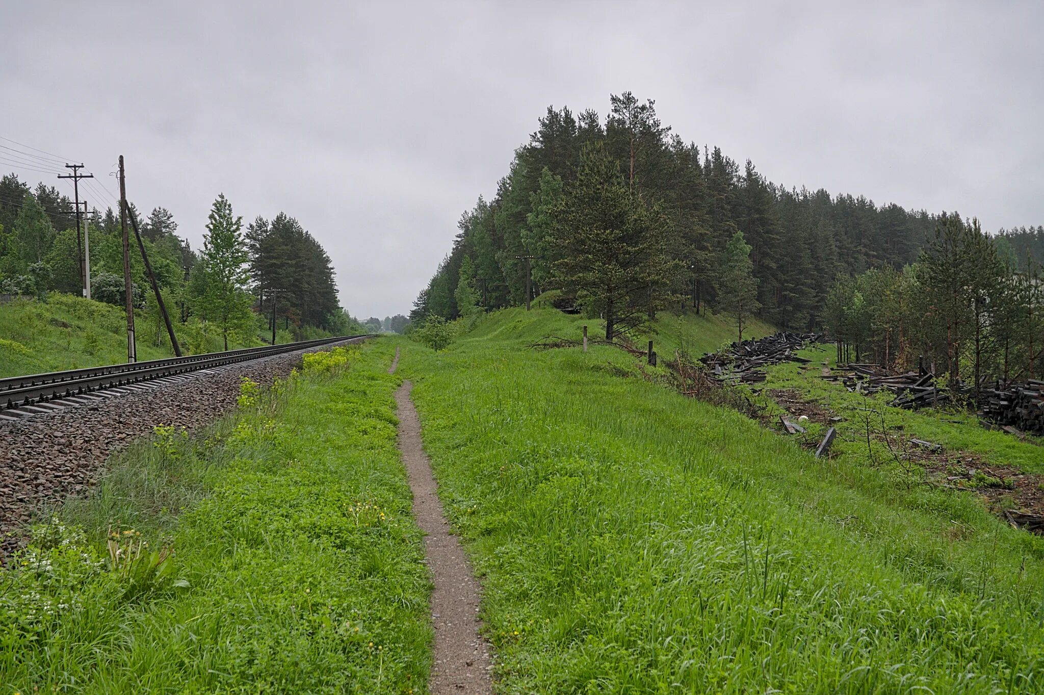 Погода в лен обл луга. Погода в лен обл луга. Река луга кингисепп. Шалово луга. Деревня торошковичи.