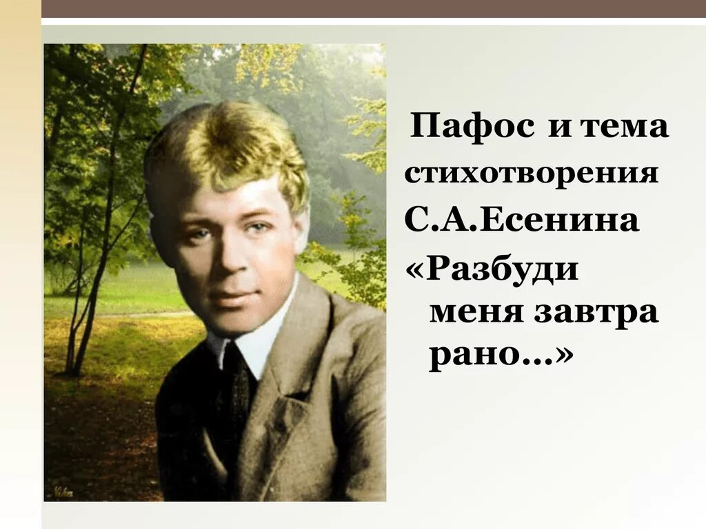 Разбуди меня завтра рано слушать. Есенина Разбуди меня завтра рано. С. Есенин. Стихотворение Есенина Разбуди меня завтра рано. Стихотворение Разбуди меня завтра рано Есенин.