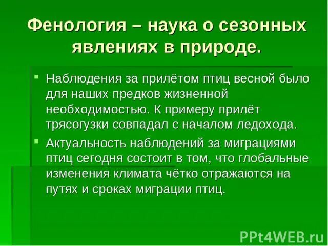 Какие методы использует фенология. Фенологические наблюдения. Фенологические наблюдения примеры. Проведение фенологических наблюдений. Фенология растений.